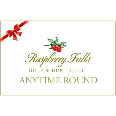 Single Anytime Round